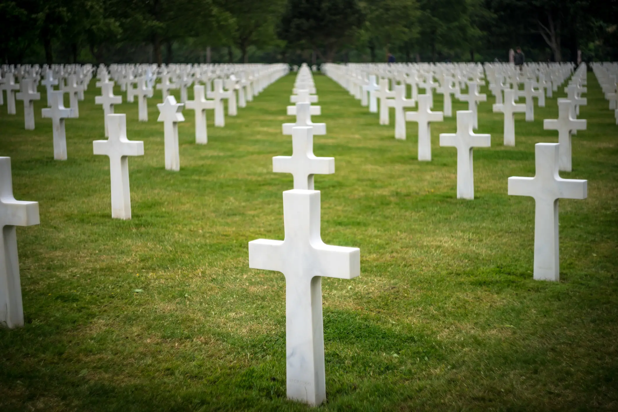 Americans are 2.6 times more likely to die as early adults than those in other rich countries (Chris McLoughlin/Getty Images)