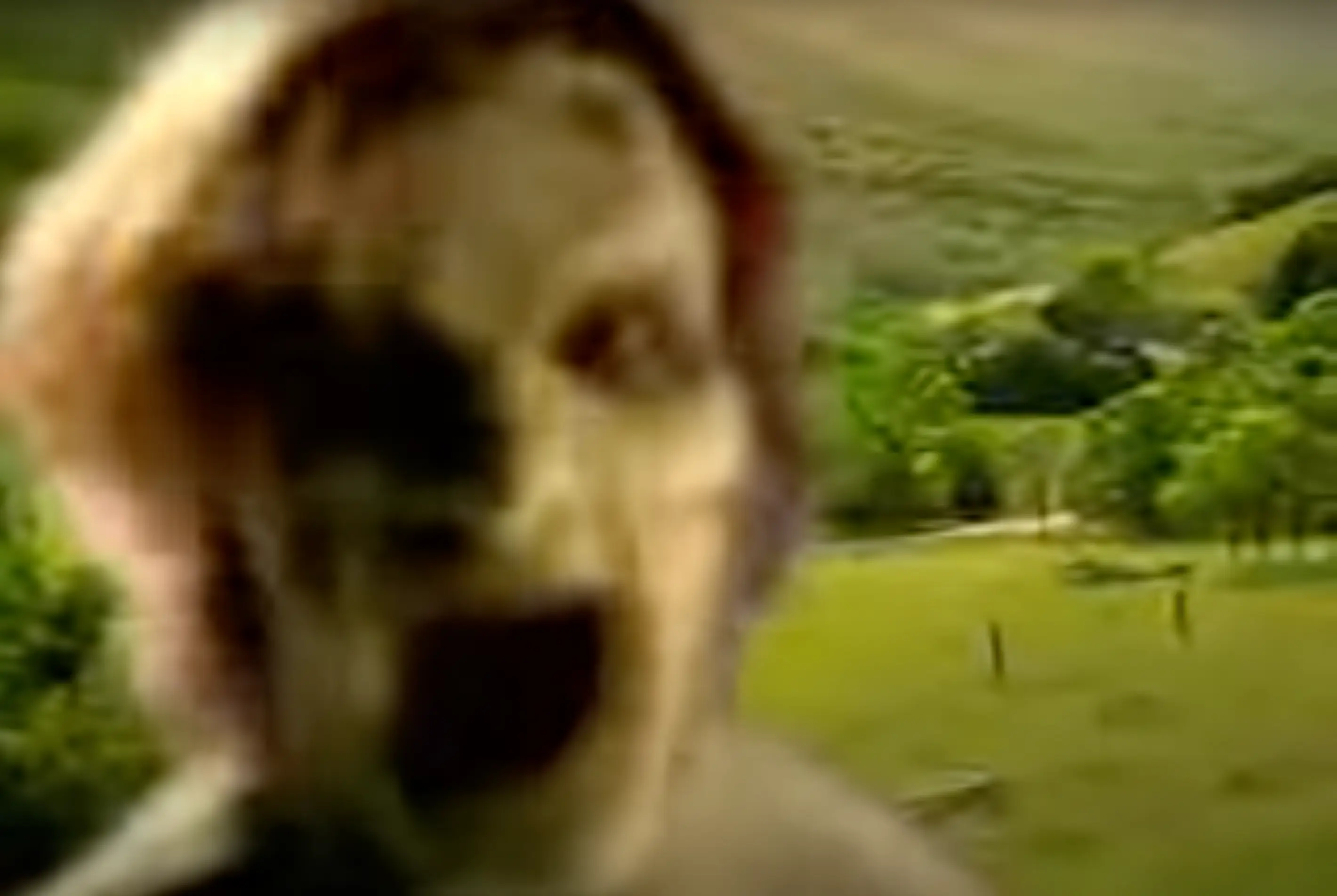 The jump scare terrified a generation (K-fee)