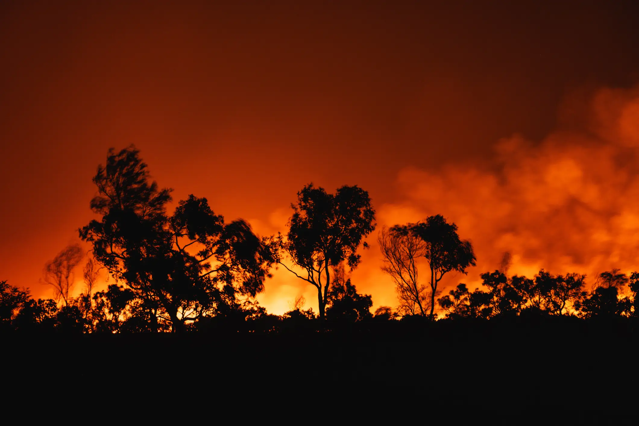 Experts are concerned that a new El Niño weather pattern may dramatically intensify global temperatures and extreme weather events (Abstract Aerial Art/Getty Images)