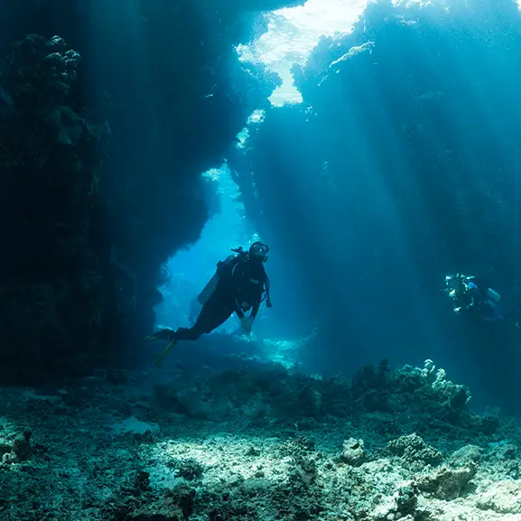 Michele Westmorland / Getty / YouTube/Ocean X