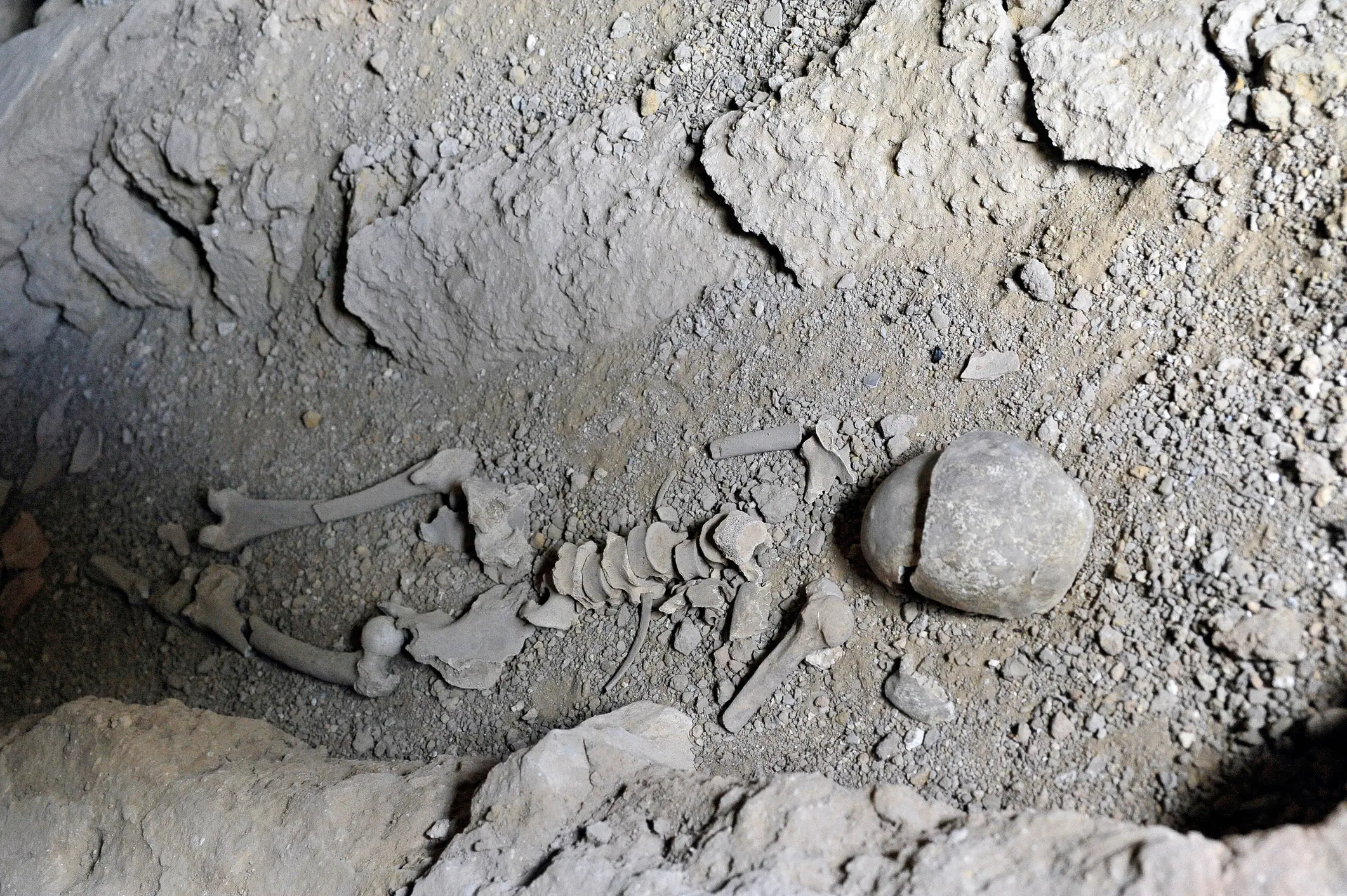 The researchers say they found a 'bottleneck' 900,000 years ago (Getty Stock Images)