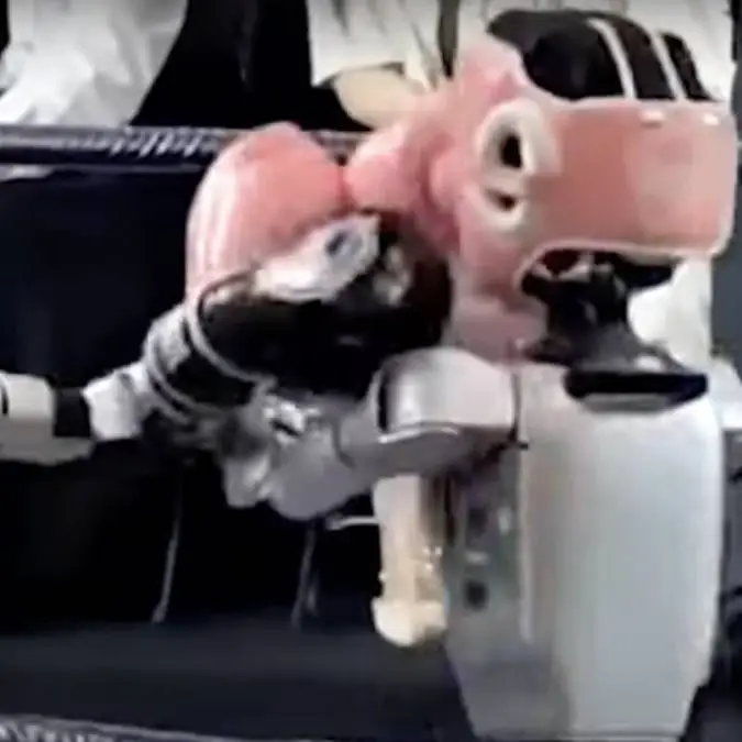 Eerie footage of world’s first humanoid kickboxing tournament leaves people seriously freaked out