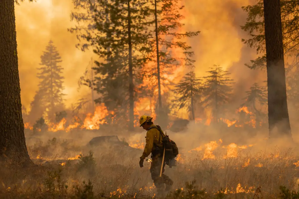 The town of Paradise was destroyed by a fire in 2018 (David McNew/Getty Images)
