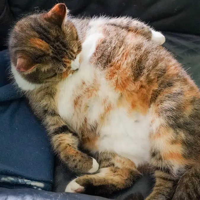 AnnaEle/Getty Images