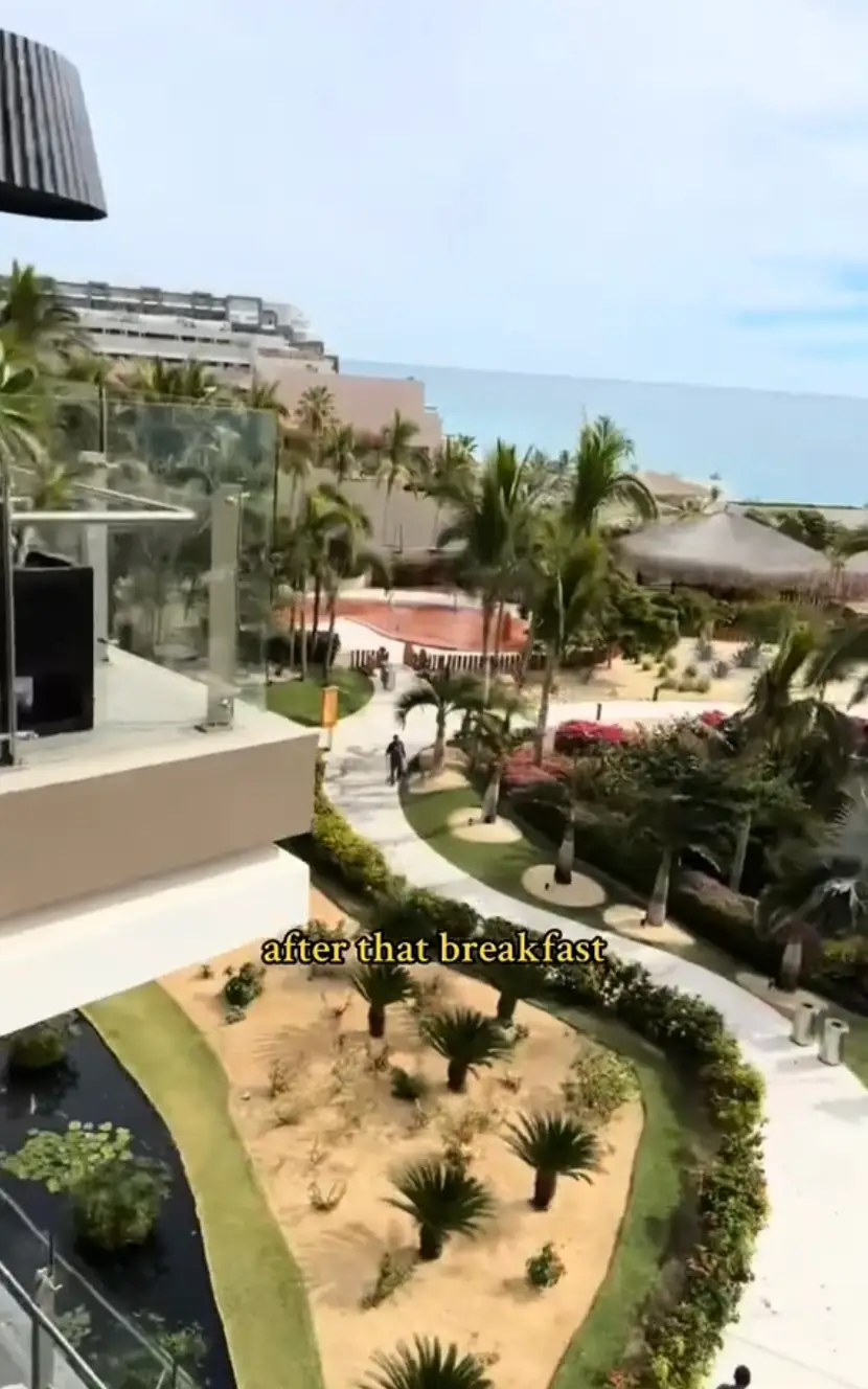 Desperately searching for 'real live people' Cameron could only find employees (@freedom_hustler/TikTok)