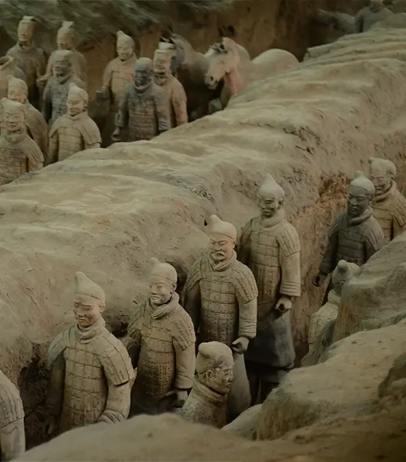 Erica Stanford Photography/Getty Images