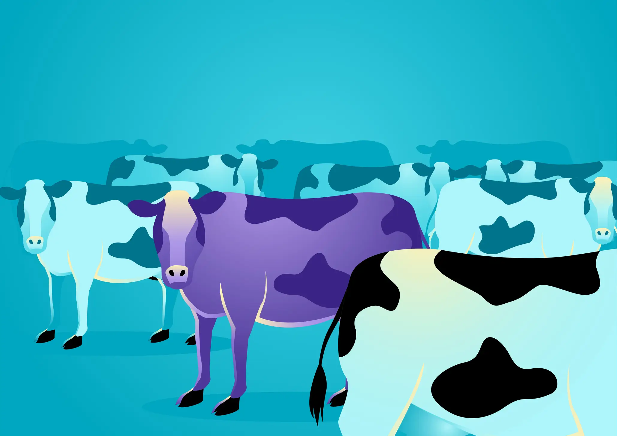 MrBeast is always on the lookout for 'purple cow' ideas that stand out in the oversaturated world of social media (Getty Stock)