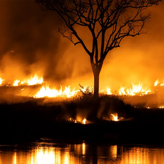 chuchart duangdaw / Getty