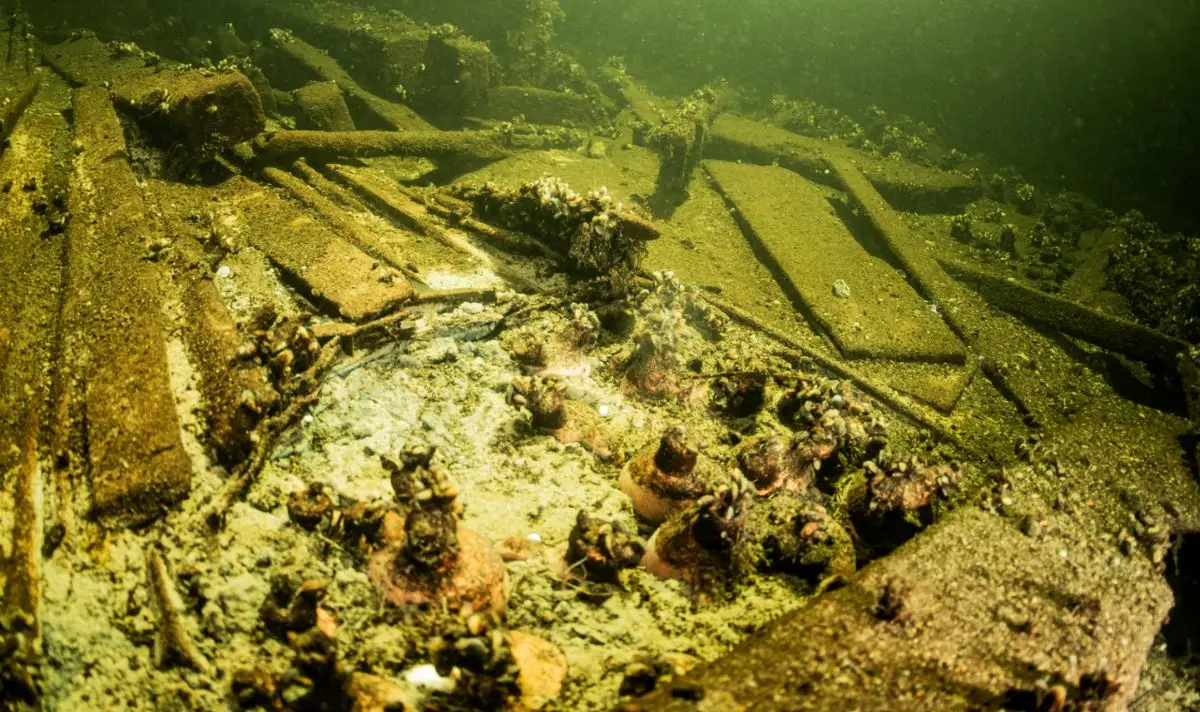 It's thought the shipmen could've been heading to a royal table.  (AP/Tomasz Stachura)