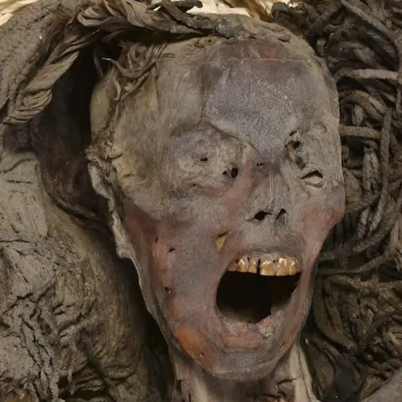 Sahar Saleem/X/@Saharsaleem1