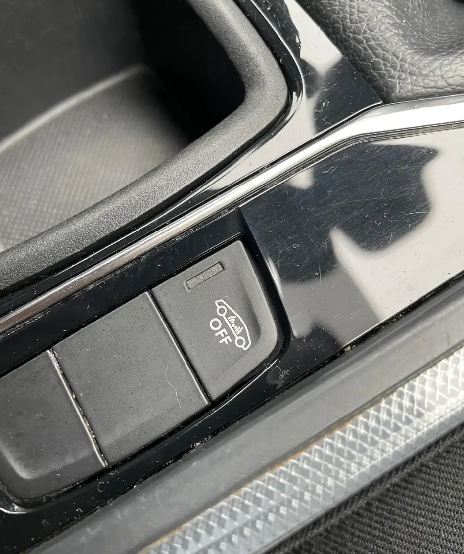 The button left the car owner puzzled (Reddit)