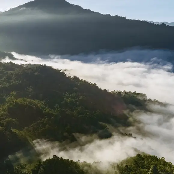 Long lost part of Earth thought to be 120,000,000 years old could change what we know about our planet