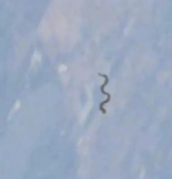 Reddit / u/MartianXAshATwelve