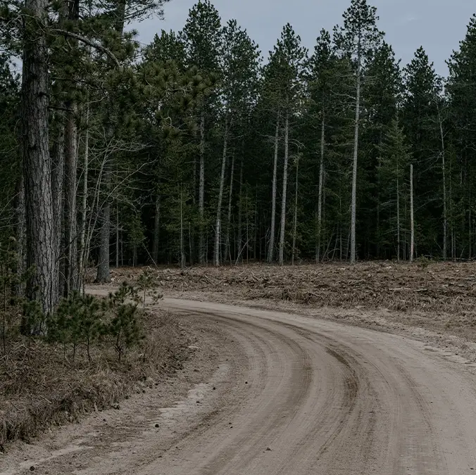 Bloomberg / Contributor via Getty