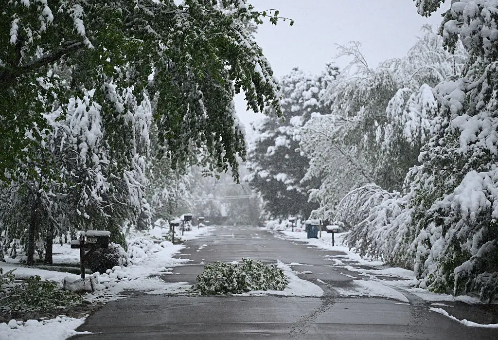 Montana, Idaho and parts of Wyoming are battling heavy snowstorms (RJ Sangosti/MediaNews Group/The Denver Post via Getty Images/Contributor/Getty)