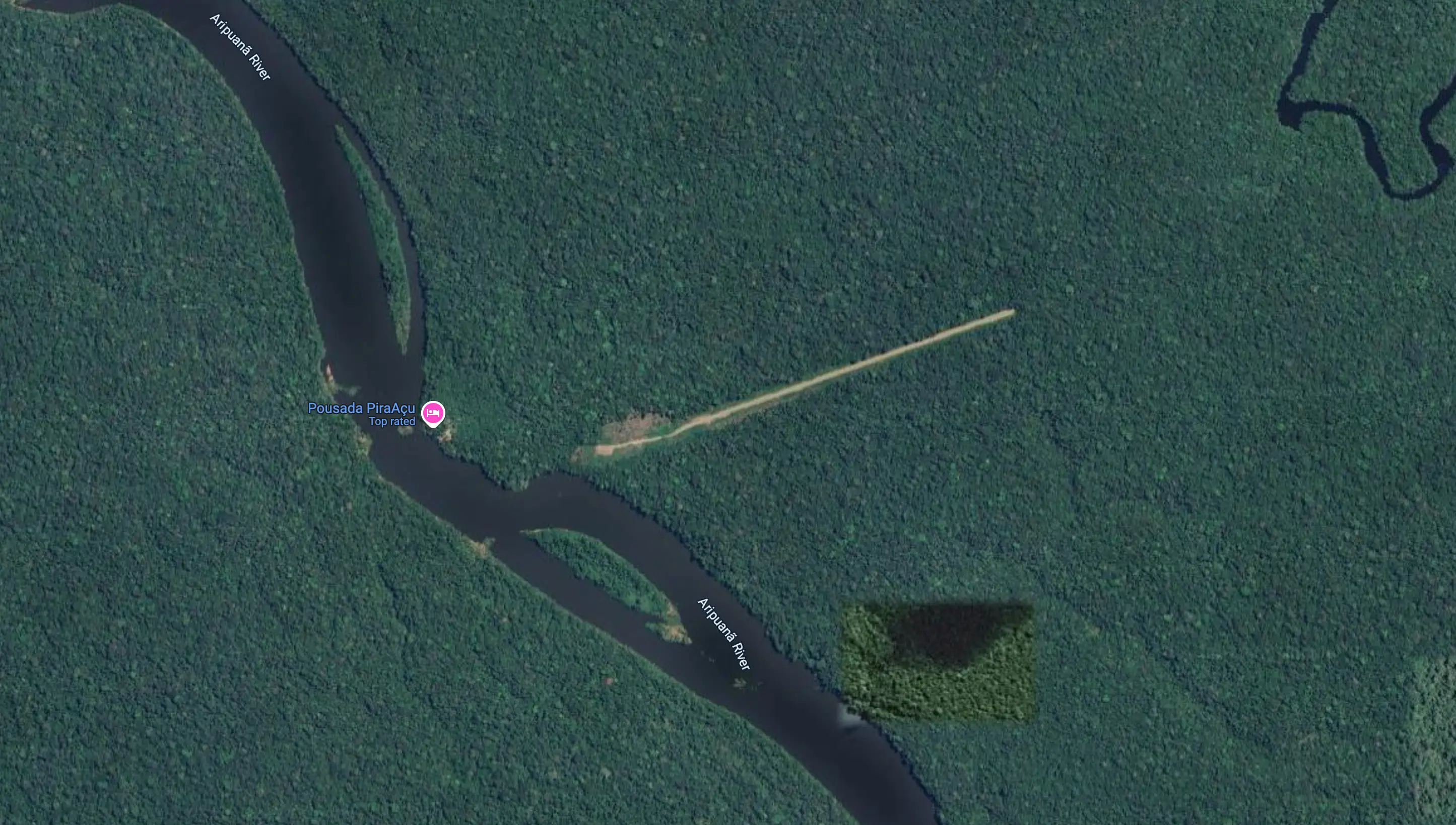 The runway is located in the jungle in Brazil (Google)