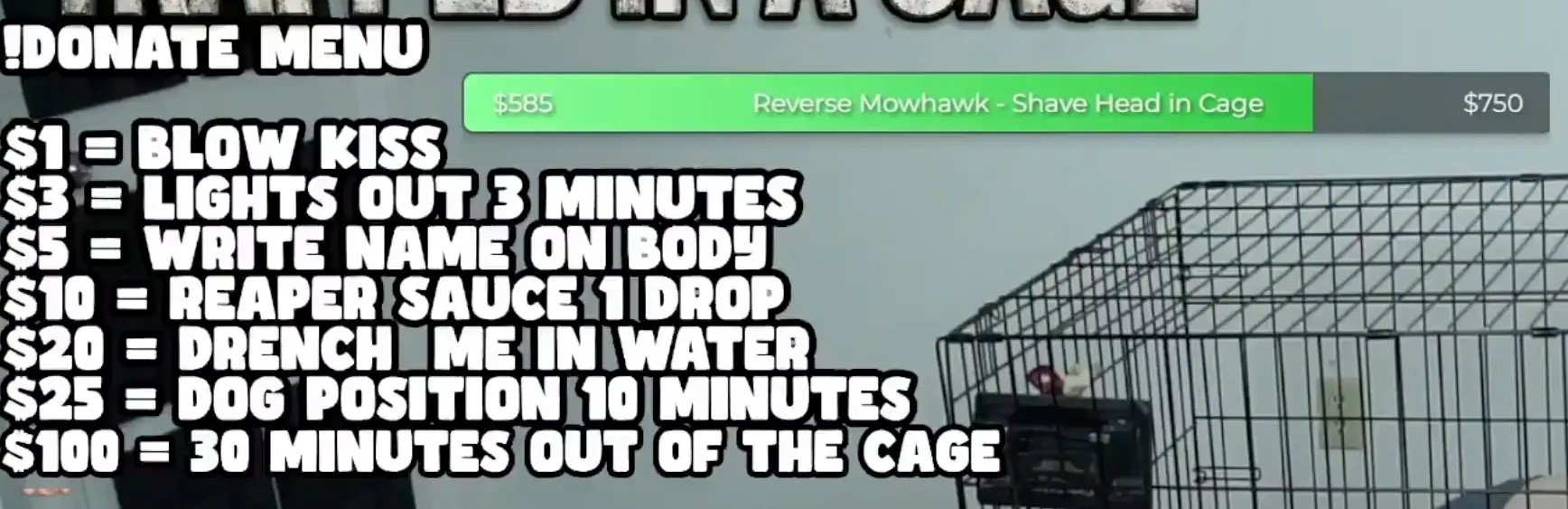 Viewers were able to donate to force the streamer into various challenges, including being drenched with water or writing their name on his body (Twitch/ERBY)