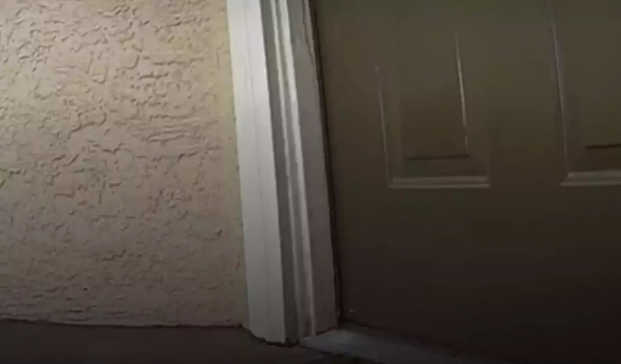 Their investigation into a 'weird chemical smell' in their apartment led to a shocking discovery about their neighbour (Umar Abdullah/Facebook)