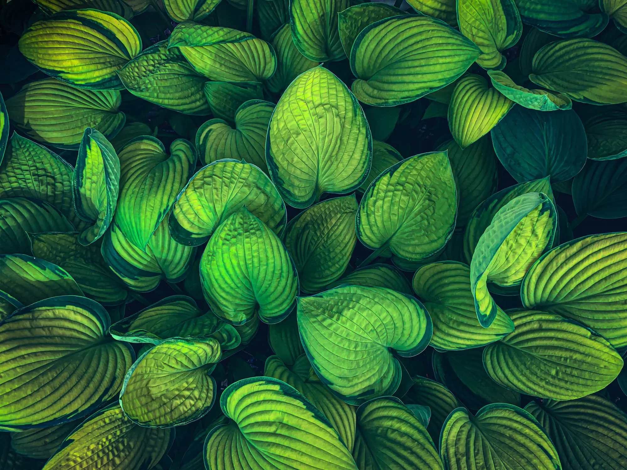 wilatlak villette / Getty