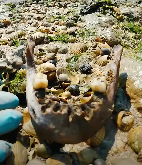 It's thought the island was used to dispose of bodies infected with the black plague (Dara Tah/YouTube)