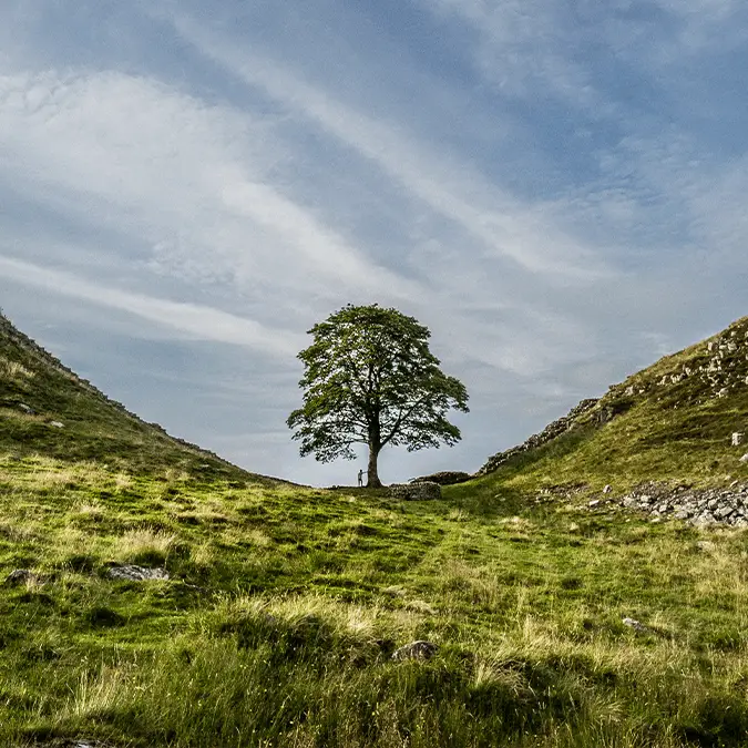 blue sky in my pocket / Getty 