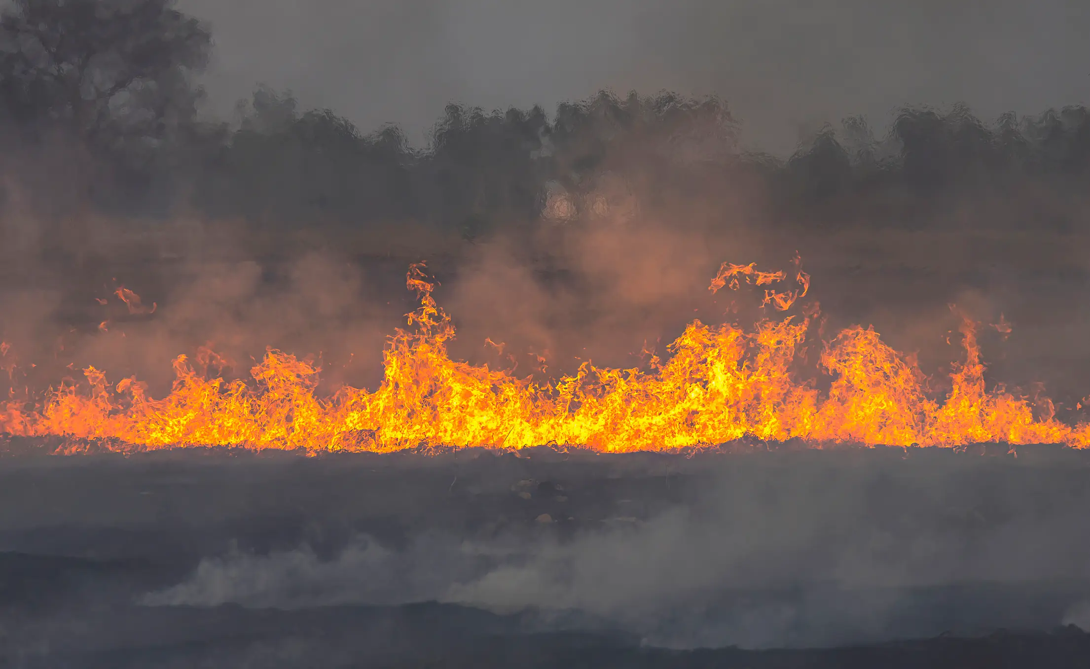 Scientists project 451,000 lives are at risk due to the El Niño (chuchart duangdaw/Getty Images)