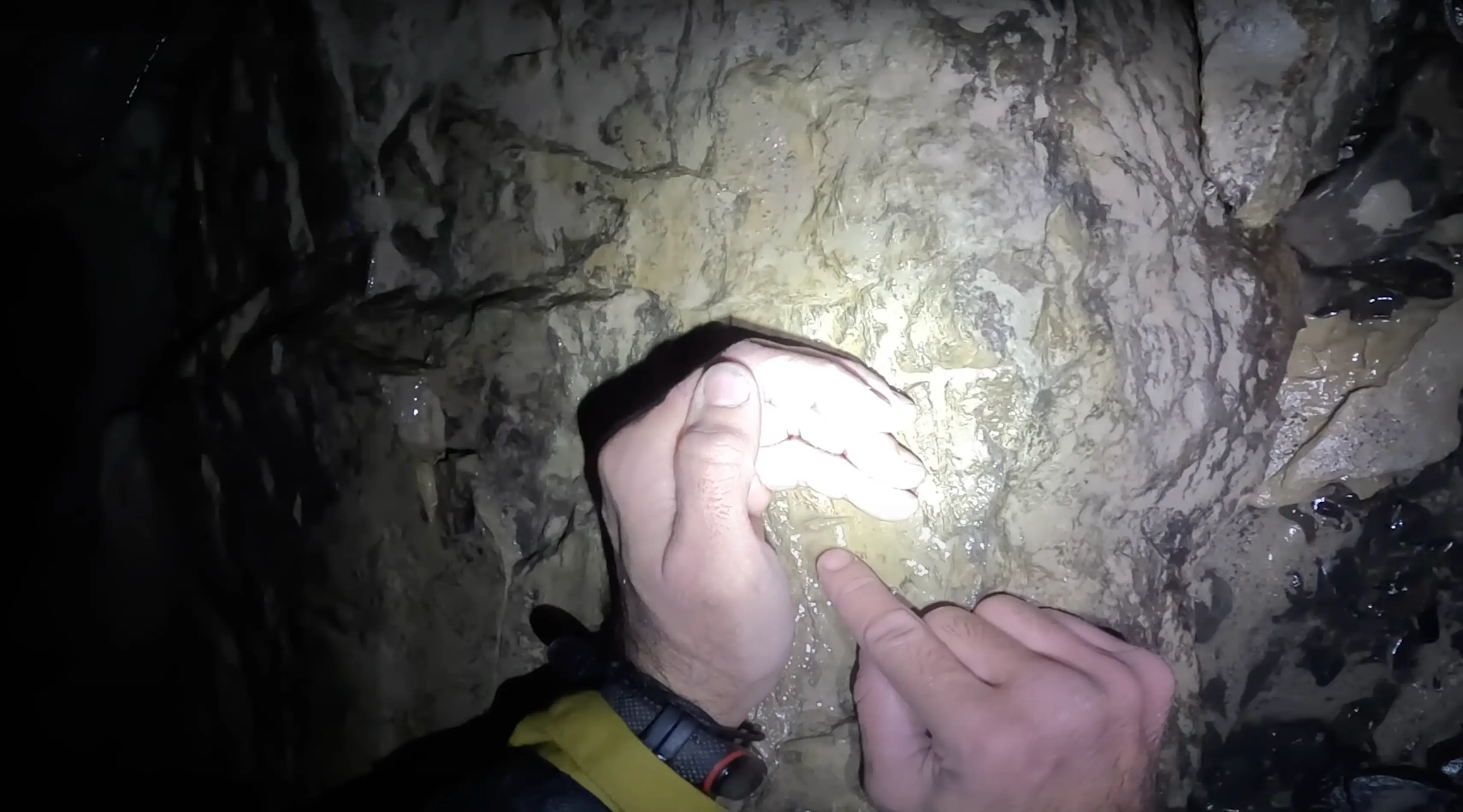 The team made an incredible discovery (YouTube/@ruhicenetvideos)