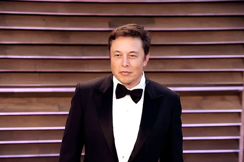 Musk has made cameo appearances in a number of big TV shows and movies (C Flanigan/WireImage)