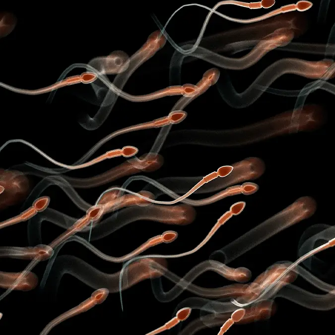 SCIEPRO/SCIENCE PHOTO LIBRARY / Getty