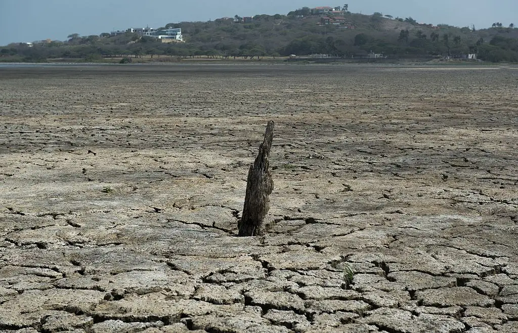 Droughts and extreme temperatures triggered by the El Niño will likely put people's lives at risk (Eitan Ambramovich/AFP via Getty IMages)