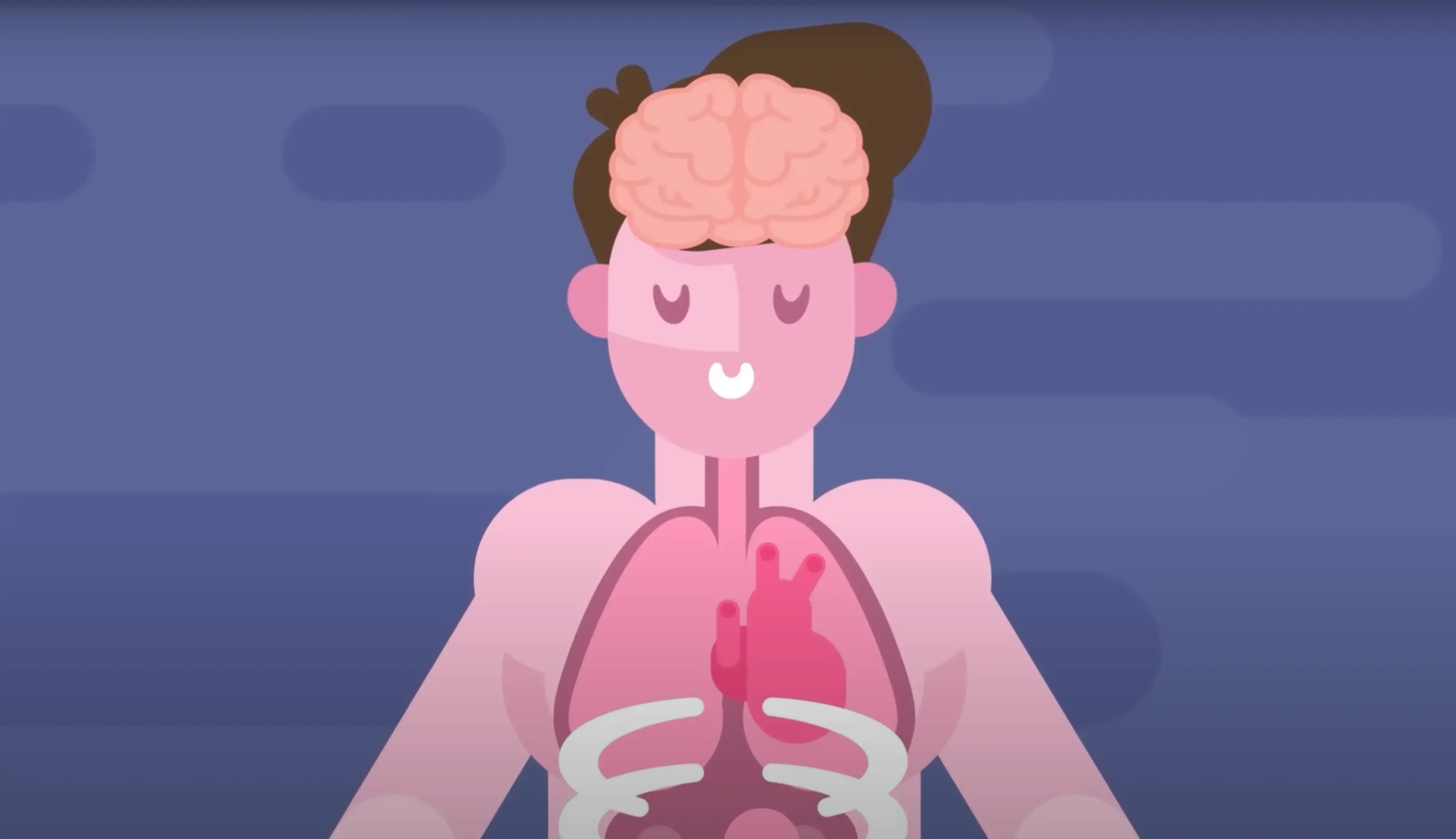 The simulation shows what happens to your body and mind when you smoke cannabis (YouTube/@TheInfographicsShow)