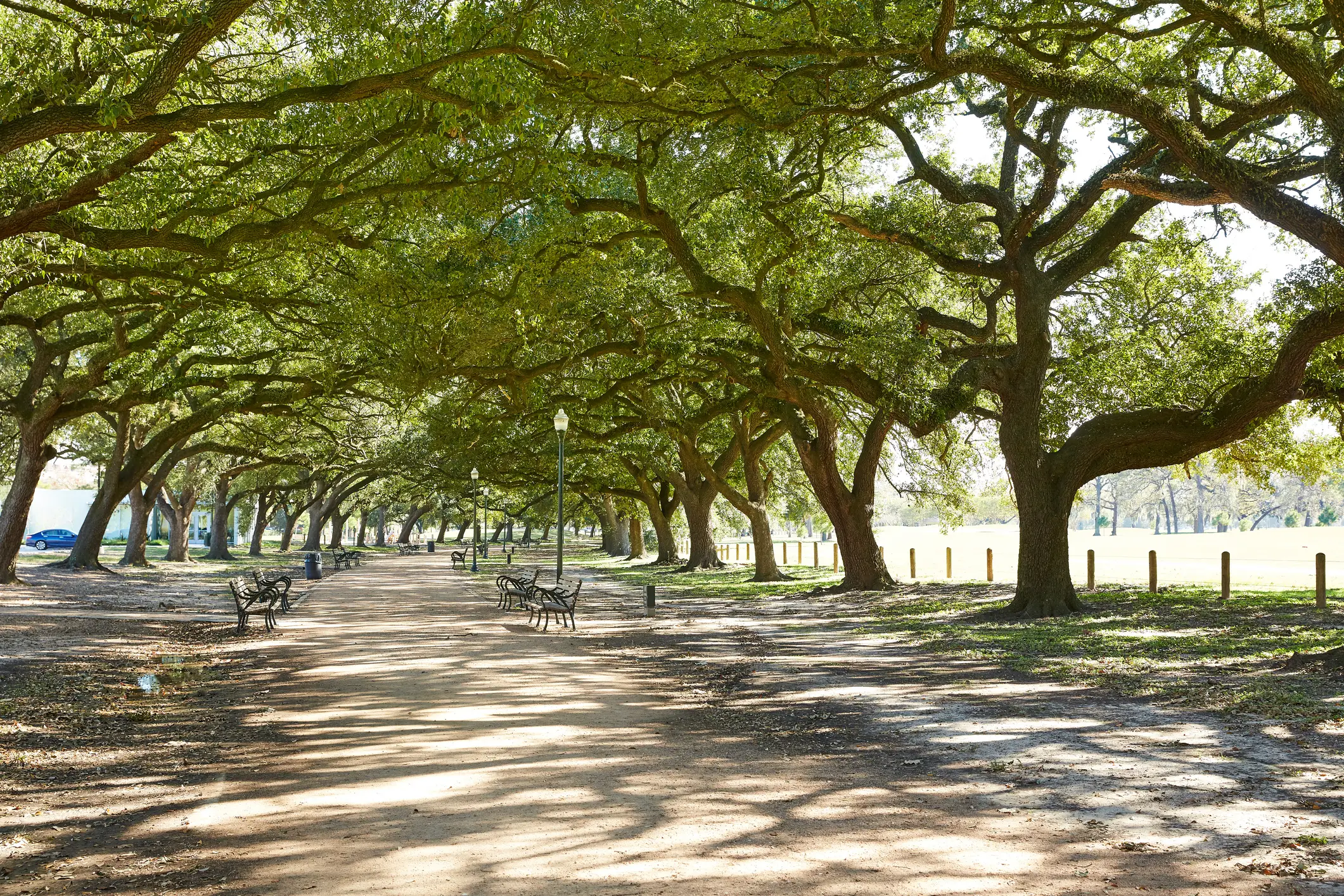 The land was donated to become a park (LUNAMARINA/Getty Images)