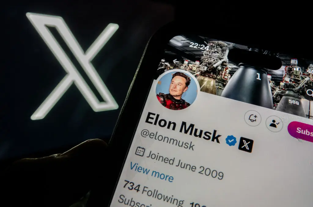 Musk's change has divided people (Matt Cardy/Getty Images)