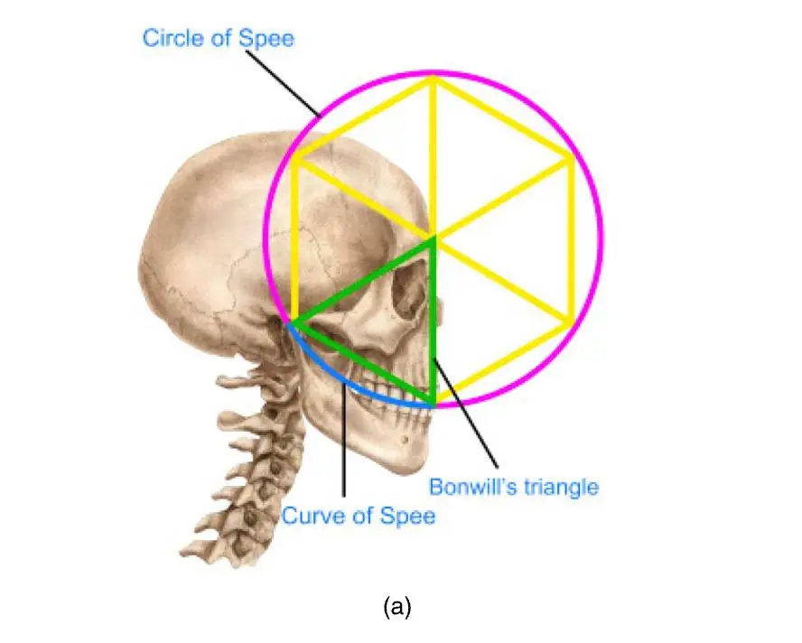 One dentist is sure he's cracked the code (Journal of Mathematics and the Arts)