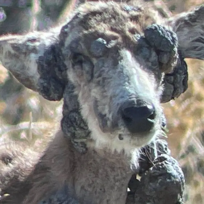 X / Colorado Parks and Wildlife