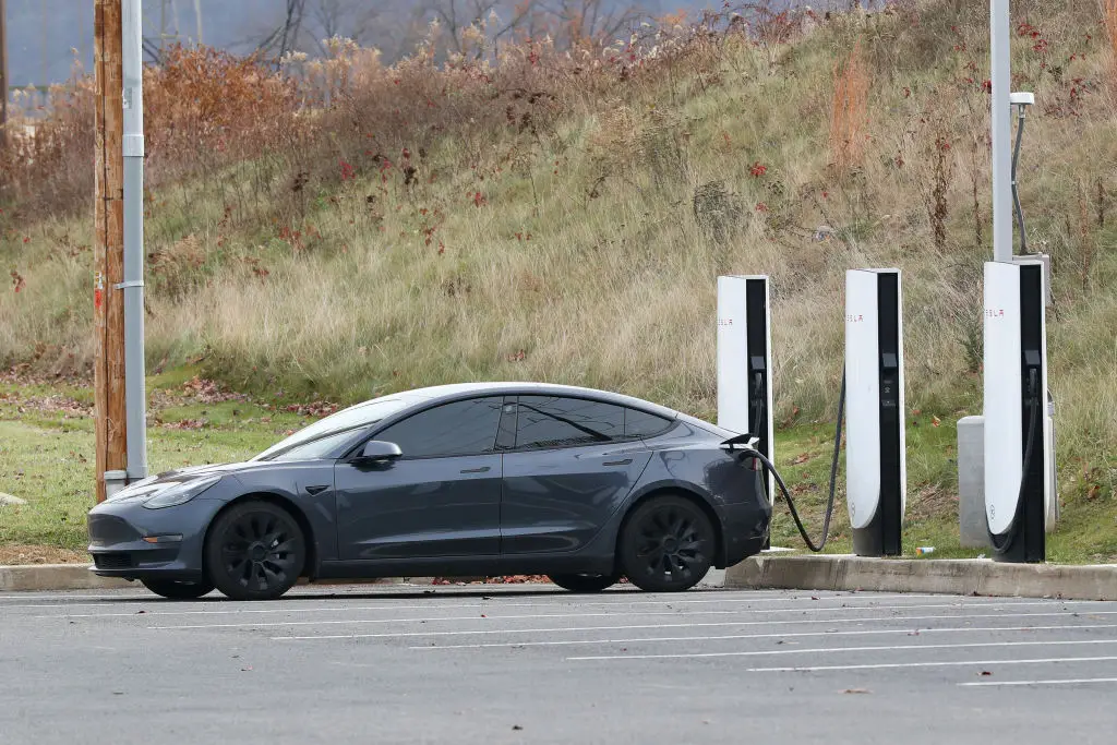 Tesla is the leading electric vehicle manufacturer (SOPA Images / Contributor / Getty)