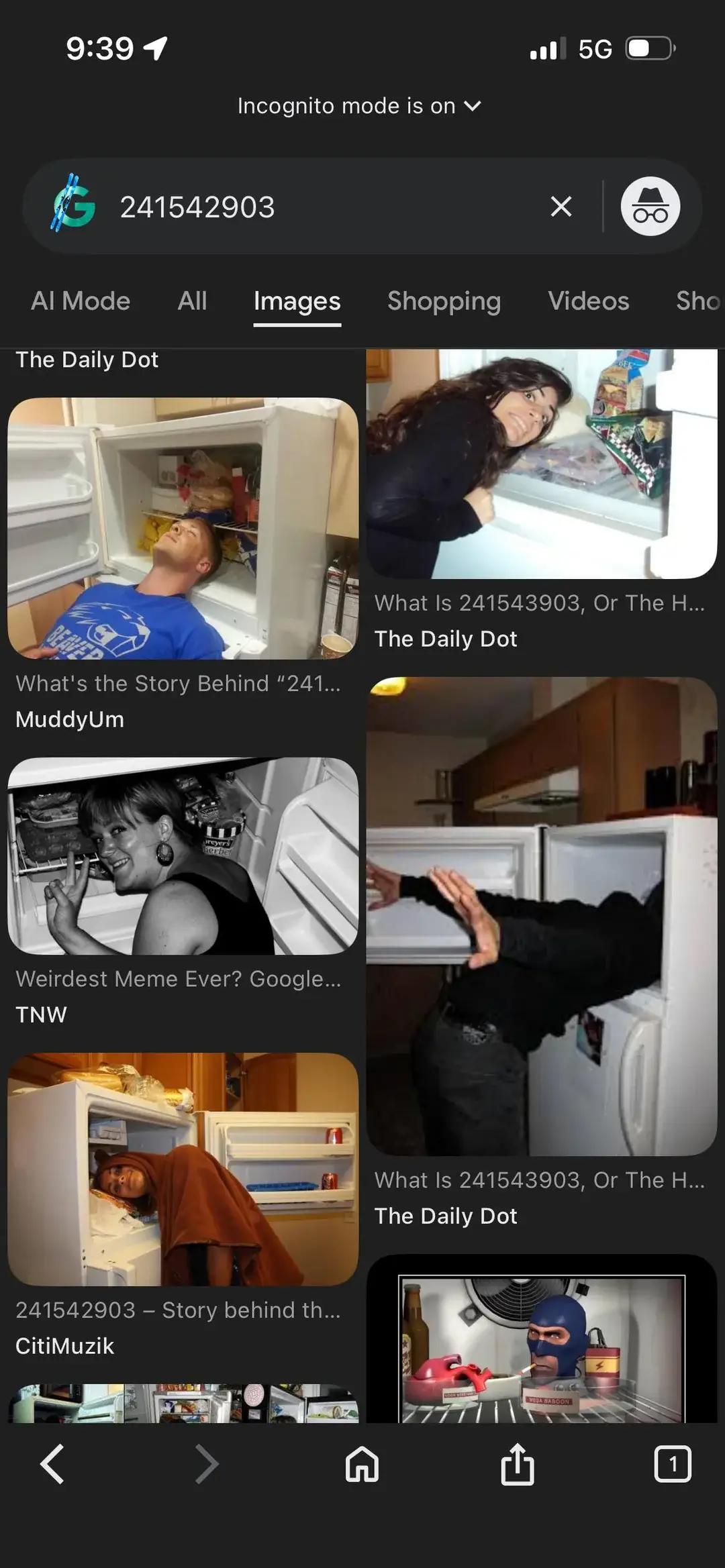 There are images of people sticking their heads into a fridge (Reddit)