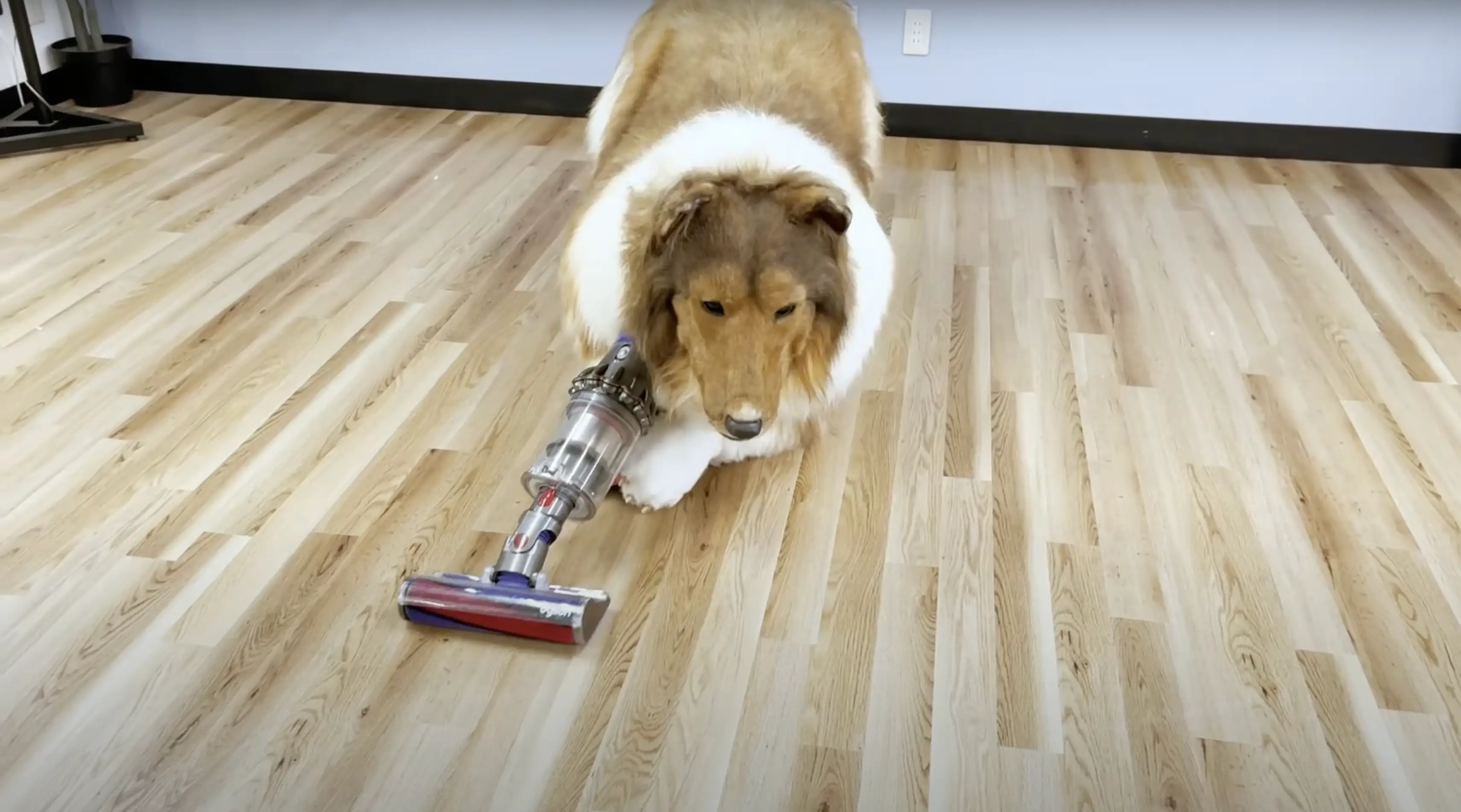 Some people find the dog costume 'creepy' (YouTube/@I_want_to_be_an_animal)