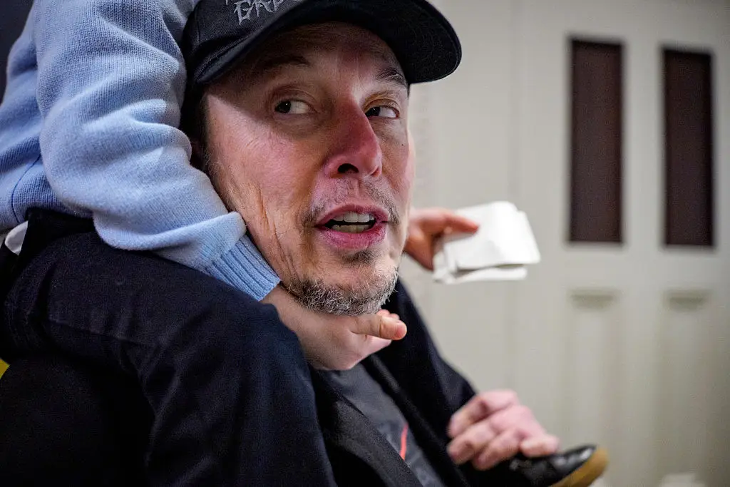 Elon Musk's EV company has seen a 40% drop in share prices since January (Andrew Harnik/Getty Images)