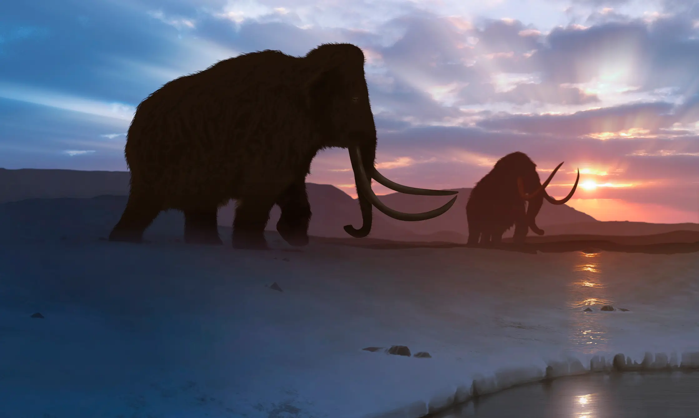 The biotech firm hope that the woolly mammoth will one day walk the Earth again (MARK GARLICK/SCIENCE PHOTO LIBRARY/Getty Images)
