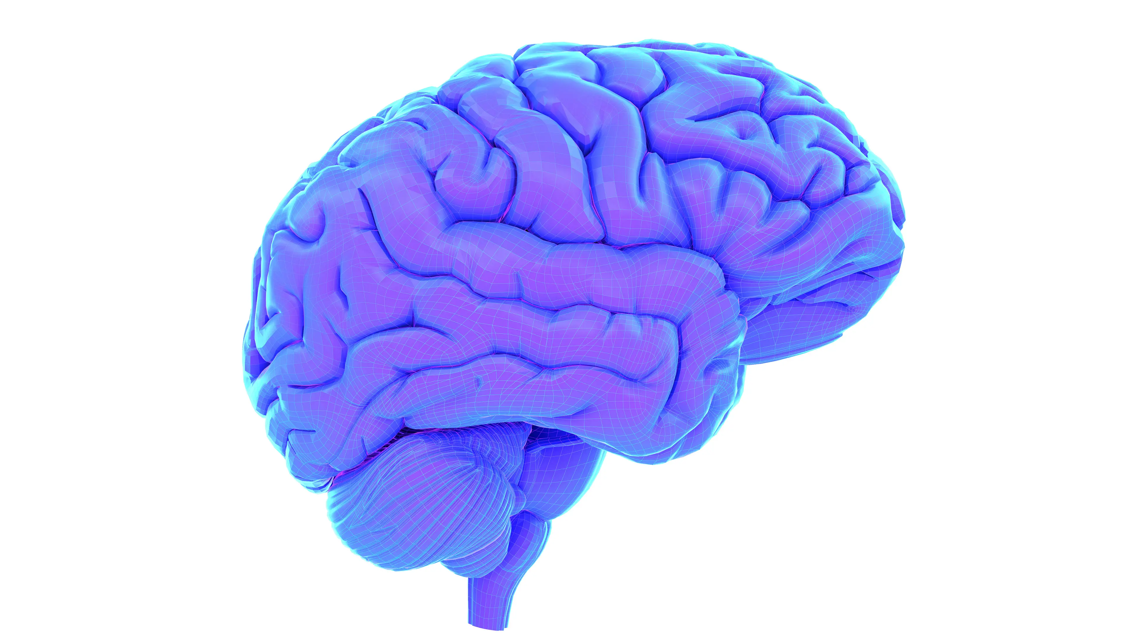 SEBASTIAN KAULITZKI/SCIENCE PHOTO LIBRARY/Getty