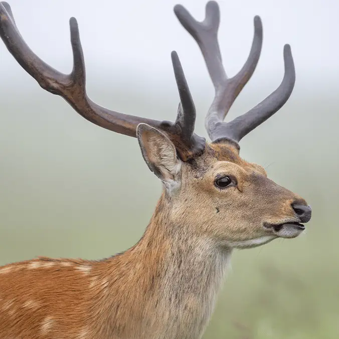 Krzysztof Baranowski via Getty