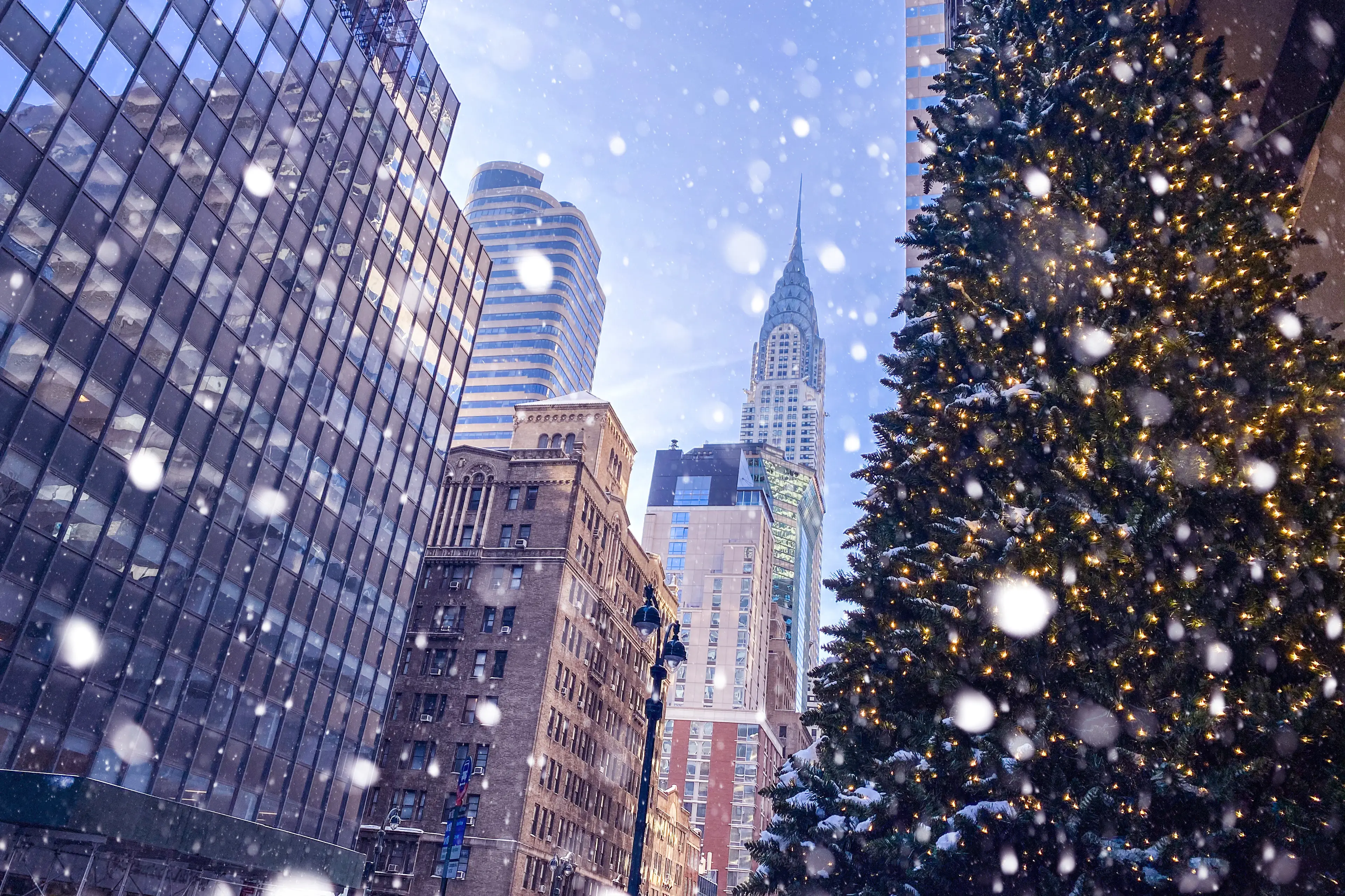 Not all US states will be getting a white Christmas (Olga Kaya/Getty Images)