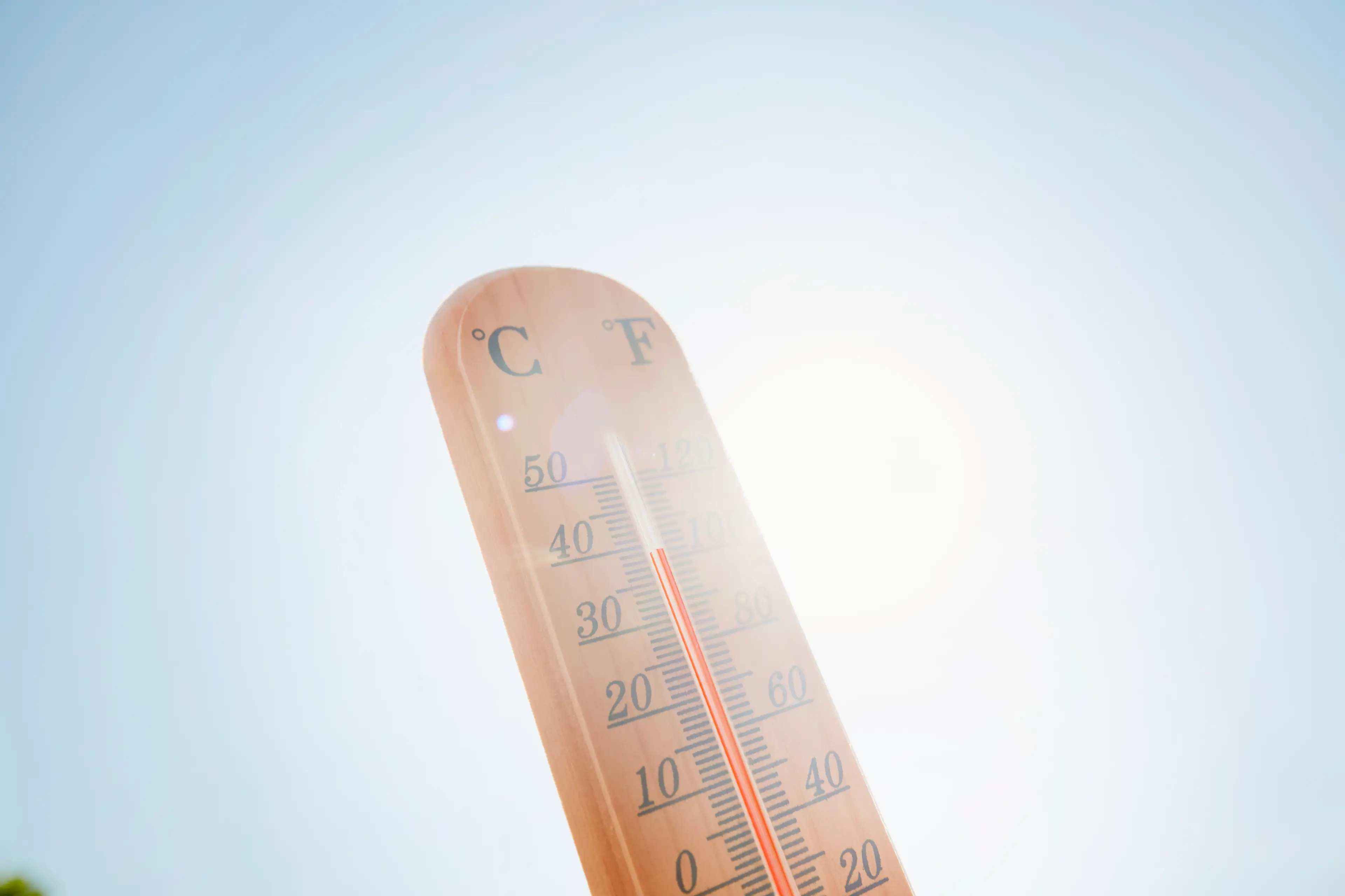 Rule 95 should protect your iPhone from overheating (the_burtons via Getty)