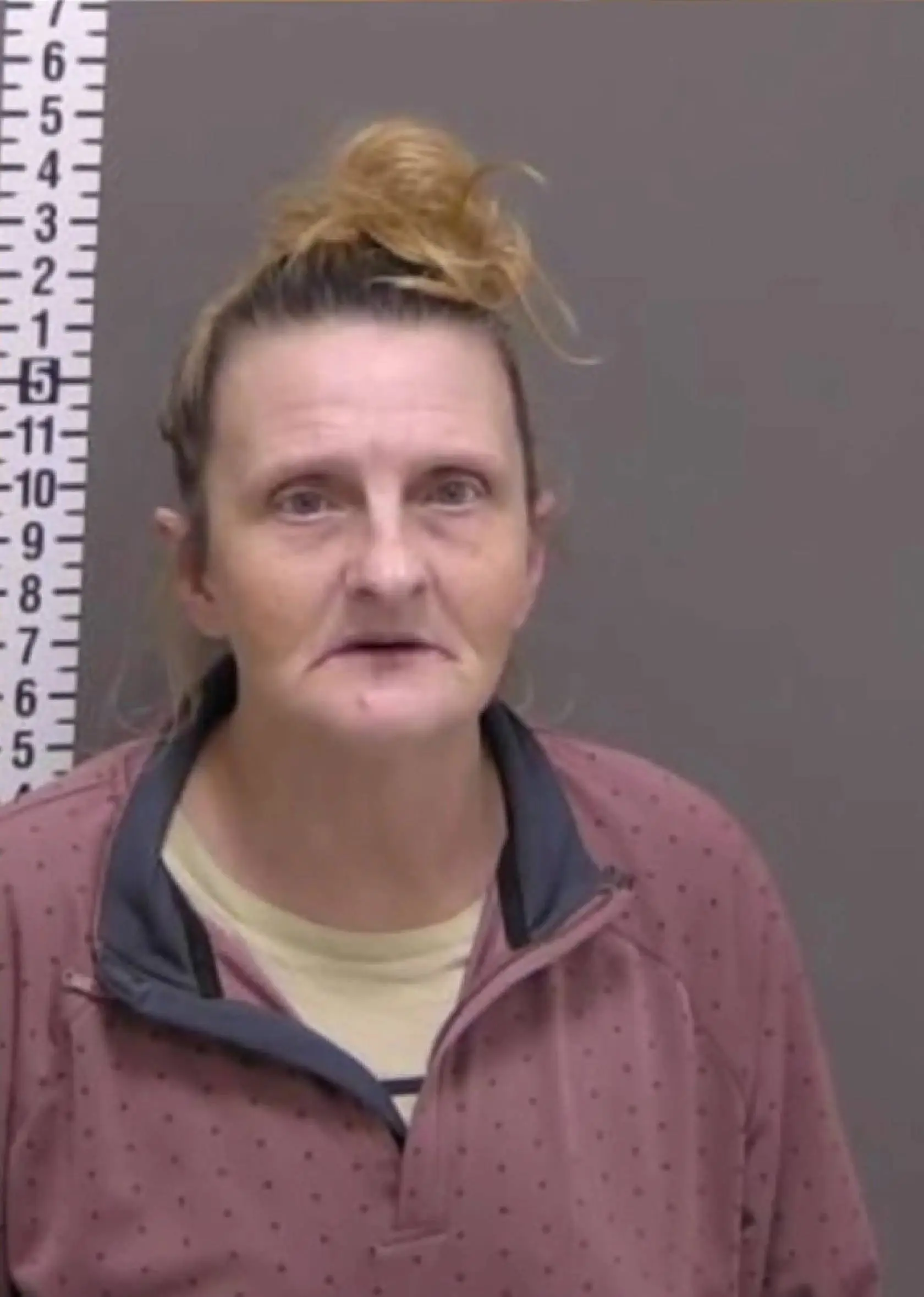 AI software was used to identify Lipps (Cass County Jail)