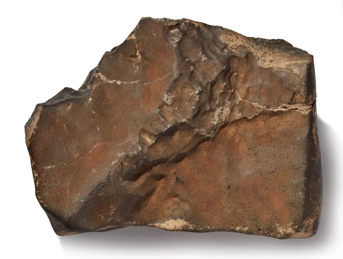 NWA 16788 is expected to cost between $2 million and $4 million when it goes up for auction on Wednesday (Sotheby's)