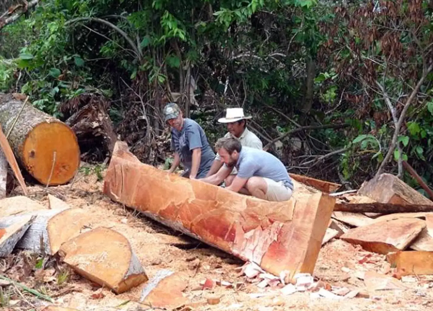 Ian Usher spent years revamping his island (Channel 5)