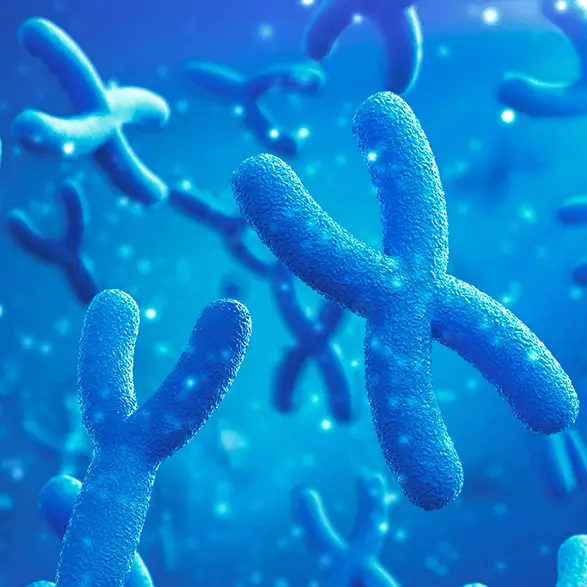 Yuichiro Chino / Catherine Falls Commercial / Getty