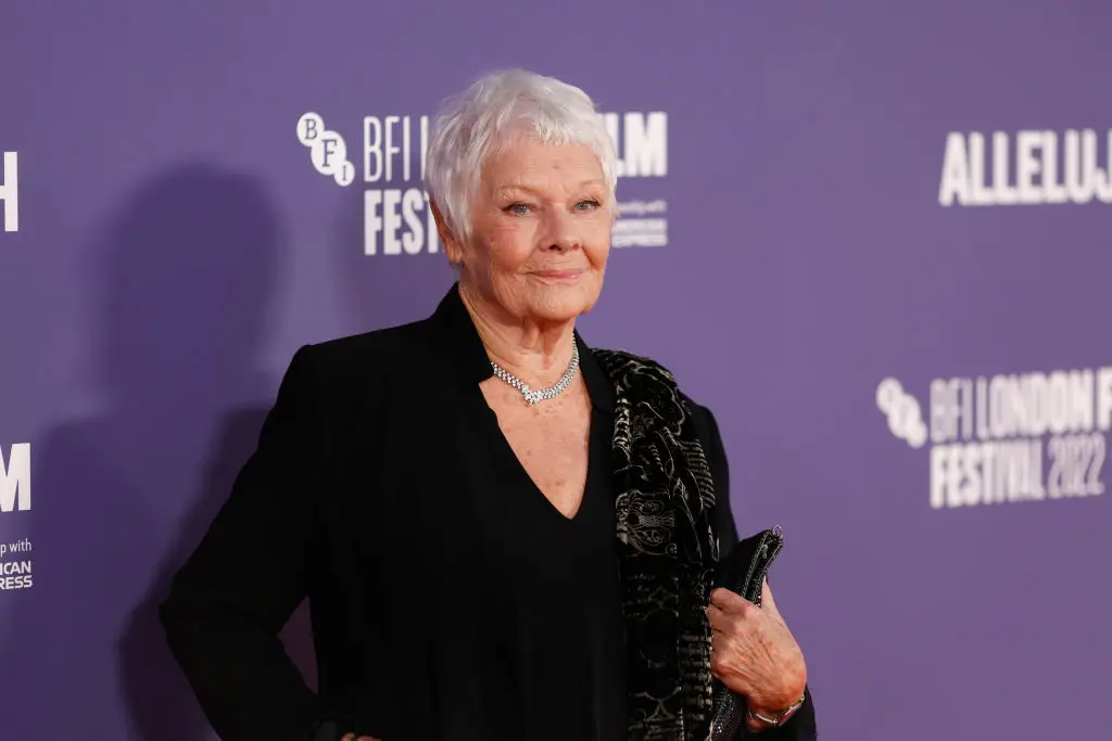 The joke refers to Dame Judi Dench but no one has worked out what it means (John Phillips/Getty Images for BFI)