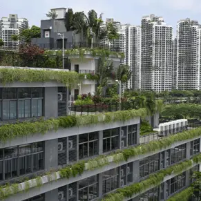 MOHD RASFAN / Contributor / Getty